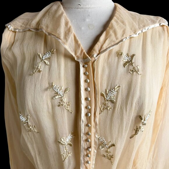Antique Edwardian Silk Chiffon Embroidered Shirtwaist Blouse - Picture 2 of 12